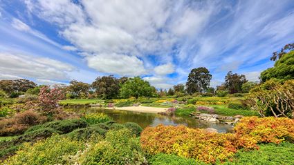 Japanese Garden - Cowra 